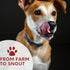 Beef Jerky Dog Treats 15 Oz Pack - All-American Slow Roasted Beef Training Treats - Healthy & Delicious Reward Snack