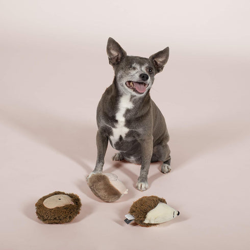 FRINGE STUDIO Pet Toy, Small Dog Toy Set, Hedgehogs, 3 Pieces