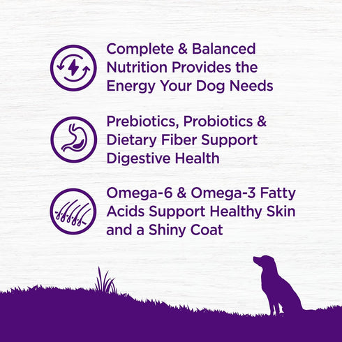Wellness Complete Health Dry Dog Food - Natural Ingredients for Adult Dogs - Whitefish & Sweet Potato, 5-Pound Bag