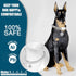 Chain Dog Collar - 15mm Silver Cuban Link with Snap Buckle, Silver Plated Stainless Steel, Includes Dog Tag & Bell (24")