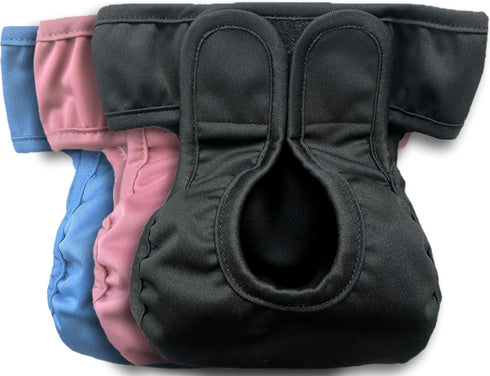Kitty BumBums Kitty Bum Bums Reusable Cat Diapers and Stud Pants to Prevent Pee