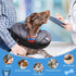 SCENEREAL Dog Cone Alternative, Soft Recovery Donut Collar for Medium Large Dogs, Inflatable Adjustable E-Collars