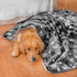 Waterproof Pet Blanket, Super Soft Warm Fluffy Sofa Car Bed Protector, Urine Proof Washable for Large Dogs