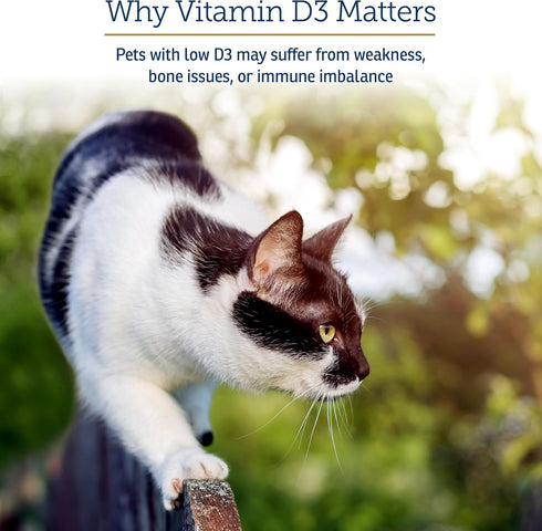 D3 D3 Immune D3-2oz Rx Vitamins Rx - Cat & Dog Vitamins Liquid Drops in MCT Oil - Vitamin D for Dogs & Cats to Manage