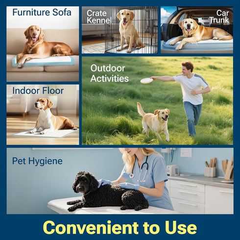 CLEAN SPACES 100 Count 22"x 22", Super Absorbency Puppy Pads Leakproof Quick Drying Dog Training Pee Pads, Puppy Pee