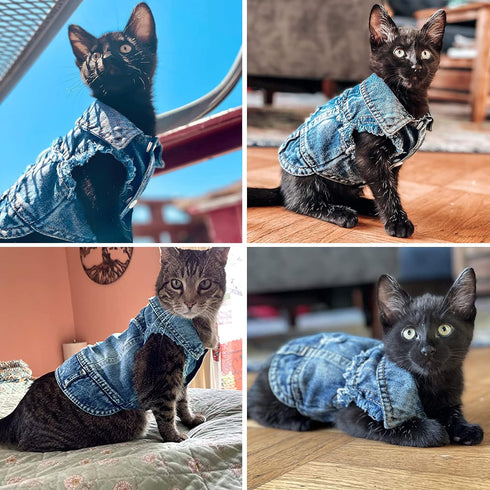 Jean Jacket Blue Denim Lapel Vest Coat, T-Shirt Costume for Small Medium Dogs Cats, Cute Puppy Clothes (XL, Blue)