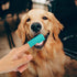 H&H Pets Dog Finger Toothbrushes, Professional Pet Finger Dental Brush Set for Dogs, Soft Bristles, Size Small, 4 Count