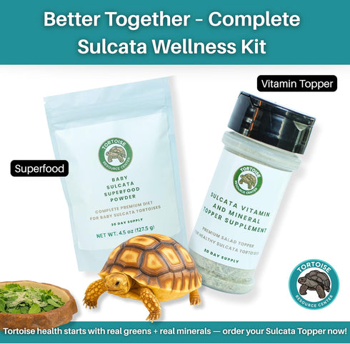 30 Sulcata Tortoise Calcium Powder - Herpetologist Formulated Calcium Powder for Reptiles with High Fiber - Day Shaker