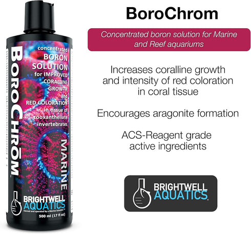 Brightwell Aquatics BoroChrom, Concentrated Boron Solution for Coralline Growth, 500 ml