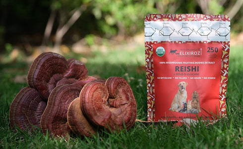 PURE REISHI, 100% Mushrooms Extract for Dogs & Cats - Immune & Digestive Health, Anti-inflammatory, Antioxidative