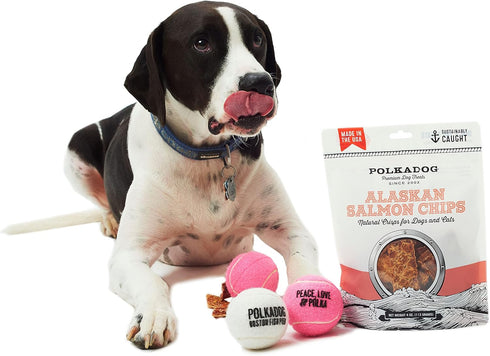 Polkadog Crunchy Alaskan Salmon Chips: 100% Wild-Caught Fish Treat for Dogs, Cats - 4 oz