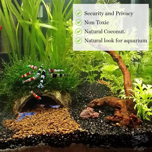 SunGrow Coconut Aquarium Shrimp Cave, Small Fish Tank Decorations, Comfortable Shelter for Crustaceans