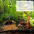 SunGrow Coconut Aquarium Shrimp Cave, Small Fish Tank Decorations, Comfortable Shelter for Crustaceans
