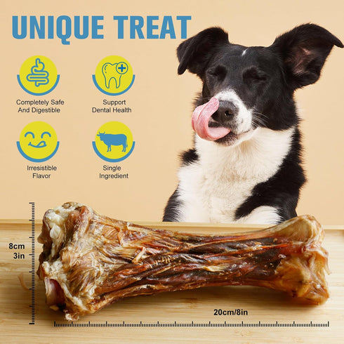 Cahnvob 8'' (1 Count) Real Beef Bones for Dogs with Meat - Big Dog Bones Beef Shank Bone, Rawhide-Free Long-Lasting