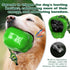 Multi-Functional Dog Toy, Long Lasting Chews, Squeaky Dog Toys, Tough Gifts for Pets