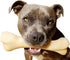 Nylabone Power Chew Monster Bone, Big Dog Chew Toy for Aggressive Chewers, Chicken Flavor, XX-Large