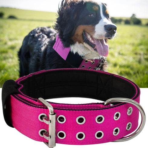 Dog Collar for Large Dogs - 2 Hot Pink Collars with Handle for Extra Large Breeds, Heavy Duty K9 Nylon Tactical Collar