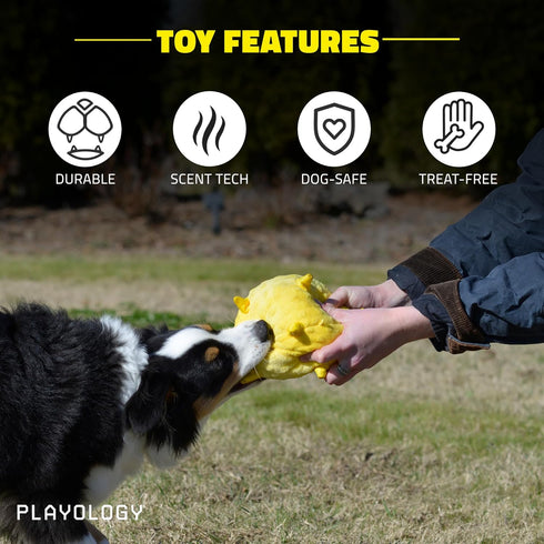 Playology Puppy Dog Ball Toys - Sensory Development Chew Toys with Squeaker for Puppies 8-16 Weeks (Up to 60 lbs)