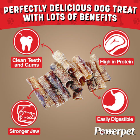 Beef Trachea Dog Chew - 100% All Natural, Low Fat, Protein-Rich Treat, 6 Inches