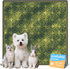 Washable Pee Pads for Dogs, Reusable Puppy Potty Training Pads, Ultra-Absorbent Thick