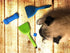 Michel Mercier Pet Detangling Brush for Thick Fur - Gentle Grooming Brush for Cats and Dogs