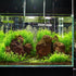 Adjustable Temperature Submersible Fish Tank Heater, Available in 25W/50W/100W/150W/200W/300W