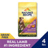 Nature's Recipe Grain Free Dry Dog Food, Lamb, Sweet Potato & Pumpkin Recipe, 4 lb. Bag