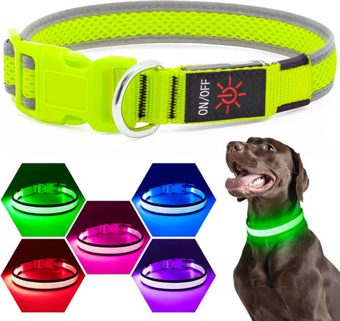 LED Dog Collar - Light Up USB Rechargeable Dog Collar for Night Walking, Adjustable Medium Neon Green