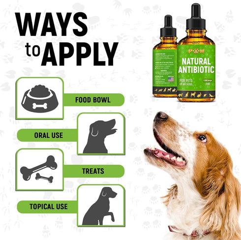 Dog Antibiotics for Infection, Coughs, UTIs, Allergies, Natural Antibiotics for Cats, 2 oz