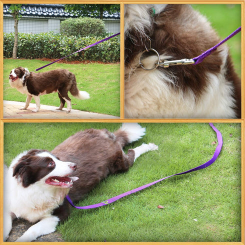 AmaGood Long Dog Leash for Training - 20, 30, 50, and 15 Feet Options for Recall, Play, and Safety (Purple, 50 Foot)