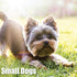 Whole Life Pet Mini Ones: Beef Liver Treats for Small Dogs, Human Grade, Made in The USA