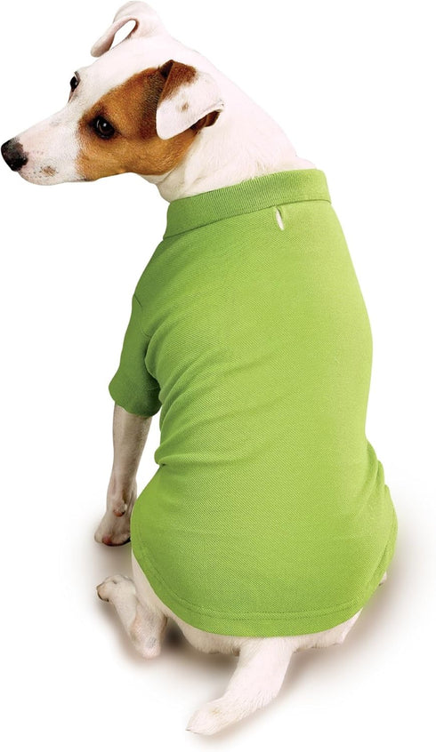 Zack & Zoey Cotton Polo Shirt for Dogs, Parrot Green, 12" Small