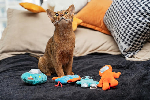 5, Interactive Catnip Cat Plush Toy, Space Travel Theme, for All Breed Size Cats (Spacecraft)