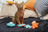 5, Interactive Catnip Cat Plush Toy, Space Travel Theme, for All Breed Size Cats (Spacecraft)