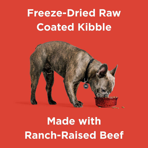4 lbs BIXBI Rawbble Freeze-Dried Raw Coated Dog Food, Beef Fresh Meat, No Meat Meals, Grain-Free USA Made