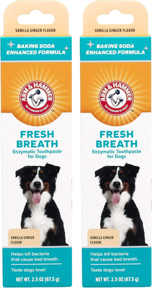 Arm & Hammer for Pets Fresh Breath Enzymatic Dog Toothpaste, Vanilla Ginger
