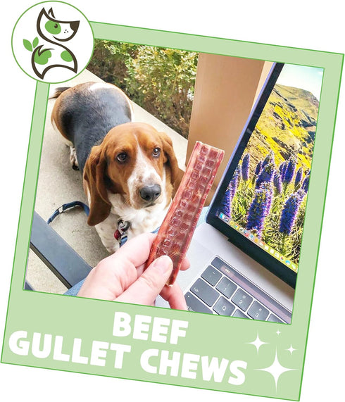 Nature Gnaws Beef Gullet Chews for Small Dogs 4-5" (20 Count) - Rawhide Free Natural Beef Jerky Treats