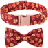 Maca Bates Fall Dog Collar with Bow Tie for Dogs, Adjustable Breakaway Collars with Autumn Leaves, Birthday Gift for