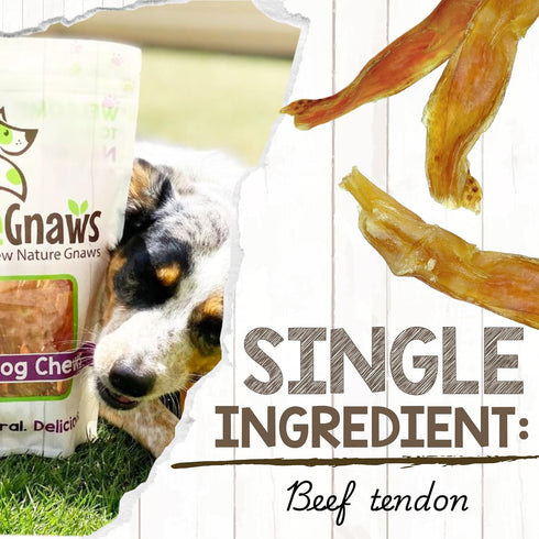 4-5" (12 Count) Nature Gnaws Beef Tendons for Dogs - Mixed Thickness - Long Lasting for Small and Medium Dogs - Natural