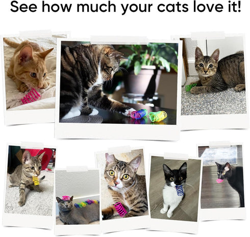 30 Pack AGYM Cat Toys for Indoor Cats, Interactive Cat Spring Toys, Durable Colorful Plastic Spiral Springs for Kitten
