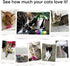 30 Pack AGYM Cat Toys for Indoor Cats, Interactive Cat Spring Toys, Durable Colorful Plastic Spiral Springs for Kitten