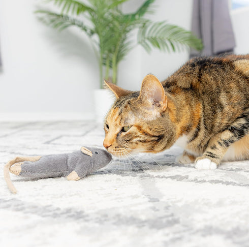 SPOT Flat Mouse Frankie with Catnip, Cat Toy, 5.5in Plush Mice with Catnip and Crinkle Sound, Perfect for Chasing