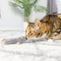 SPOT Flat Mouse Frankie with Catnip, Cat Toy, 5.5in Plush Mice with Catnip and Crinkle Sound, Perfect for Chasing