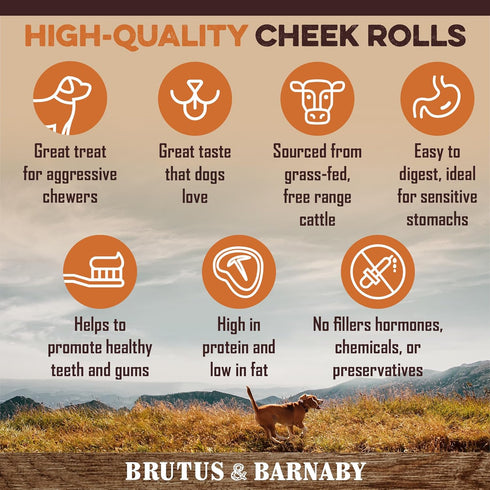 Premium Beef Cheek Rolls for Dogs 10-12" (5-Pack), Peanut Butter Flavored, Safe & Natural Rawhide Alternative Chews
