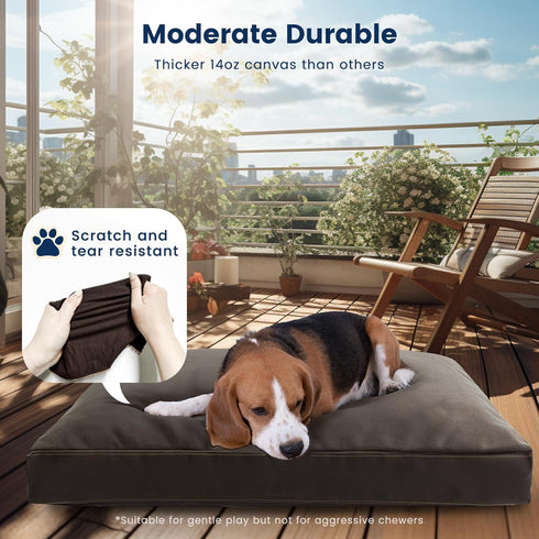 Miguel Waterproof Dog Bed with Removable Washable Cover, 14 Ounce Canvas Dog Pillow for Large Medium Small Dogs, 35 x