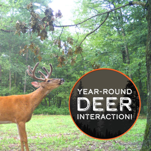 HODAG Licking Branch System for Effective Mock Scrape, Deer Hunting Accessories, Gear, Trail Camera Accessory