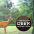 HODAG Licking Branch System for Effective Mock Scrape, Deer Hunting Accessories, Gear, Trail Camera Accessory