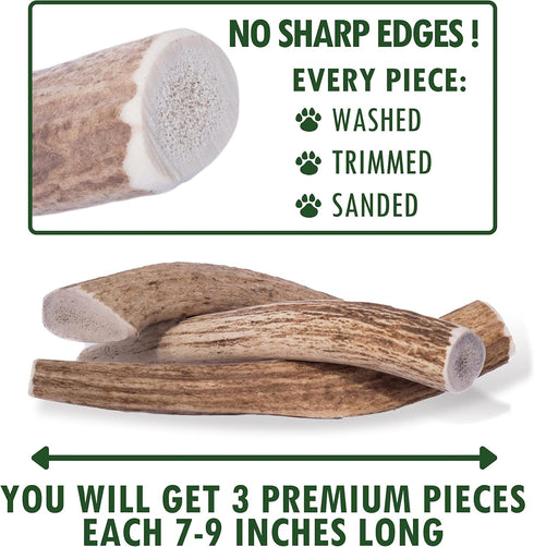 Wildeers Elk Antlers for Dogs Large, 3-Pack, Naturally Shed, Grade A, 7-9 inch Long Lasting Treats for Aggressive