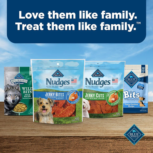 Blue Buffalo Nudges Jerky Bites Dog Treats, Chicken, 5 oz Bag, Made in the USA with Natural Ingredients
