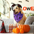 50 Pack Xuniea Halloween Dog Bandanas Large Dog Bib Scarf Pet Bandana Handkerchief Accessories for Medium Small Puppy